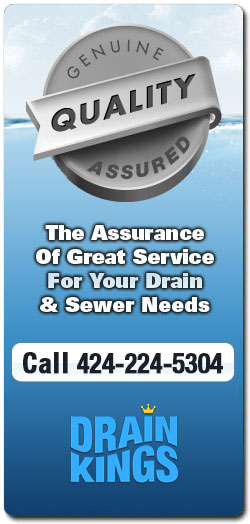 Assurance